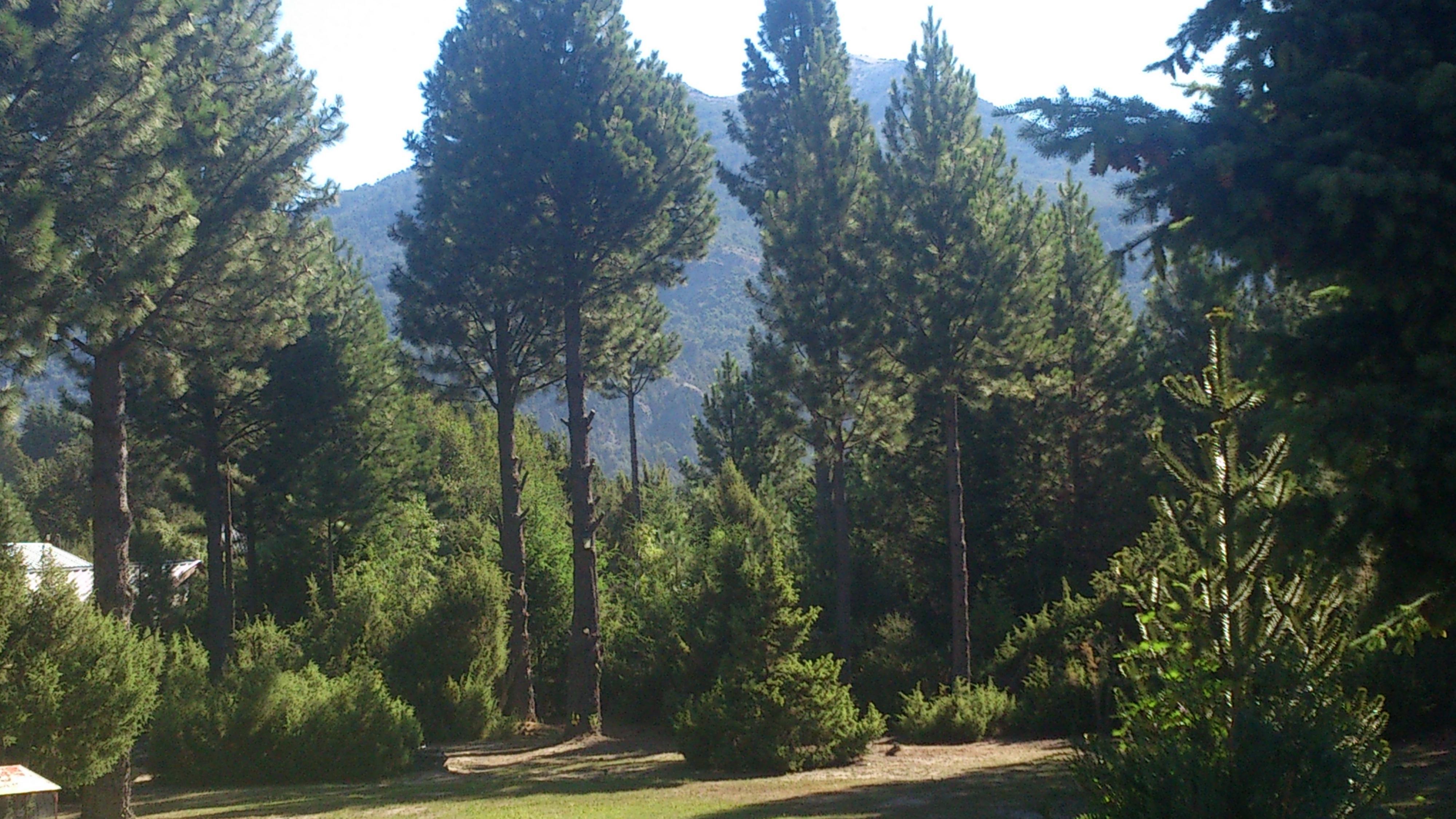 Posada Del Angel San Carlos de Bariloche Luaran gambar